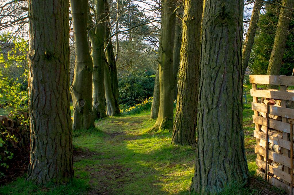 Robin Hood Farm B&B Баслоу Экстерьер фото