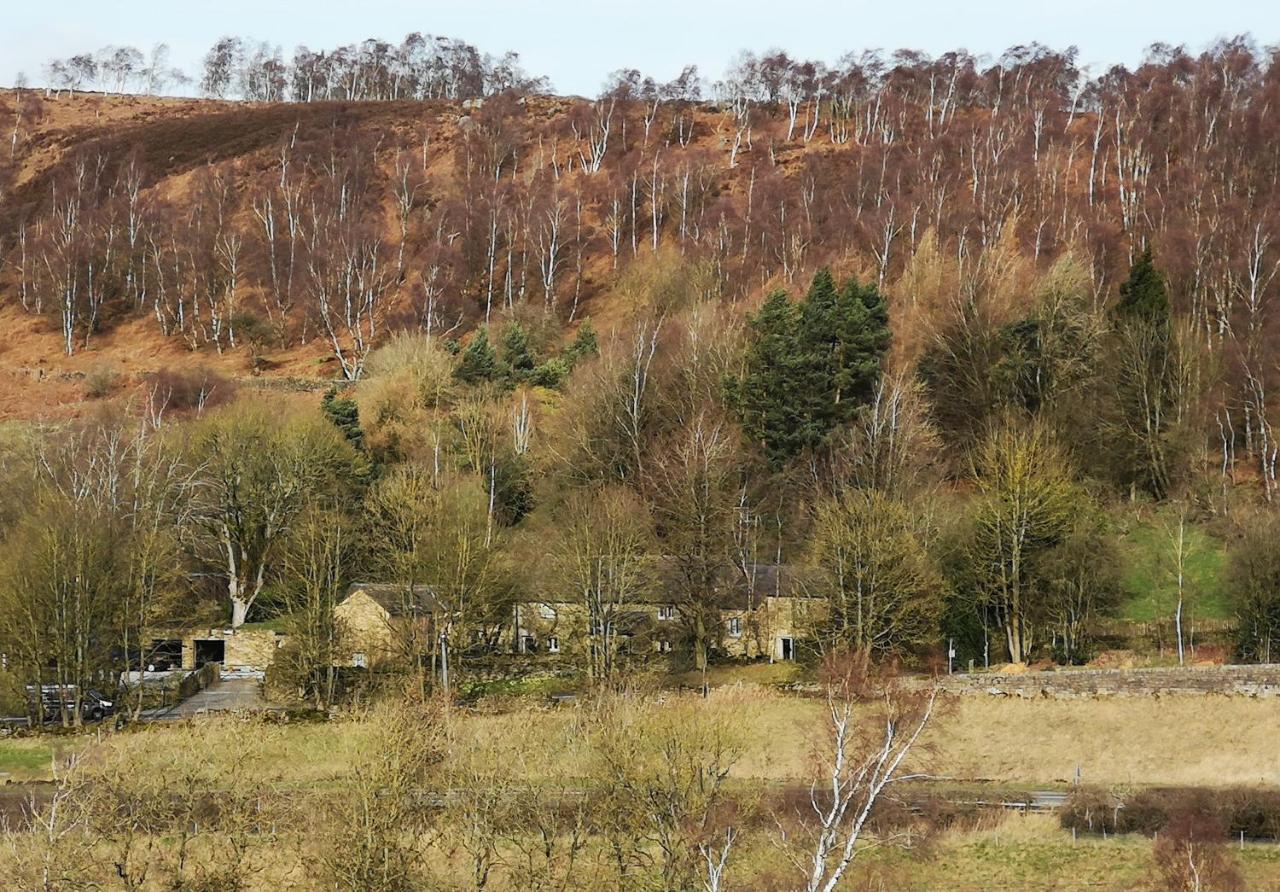 Robin Hood Farm B&B Баслоу Экстерьер фото